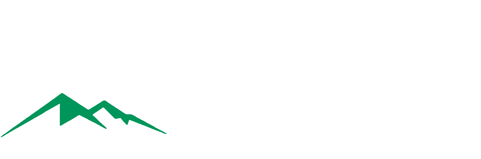 RoccaMate Solutions